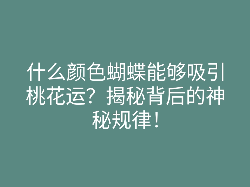 什么颜色蝴蝶能够吸引桃花运?揭秘背后的神秘规律!