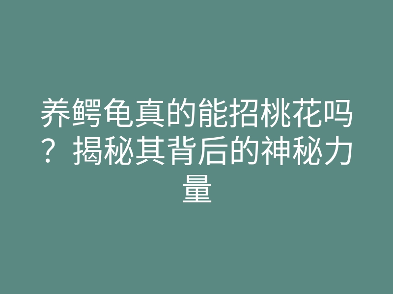 养鳄龟真的能招桃花吗?揭秘其背后的神秘力量