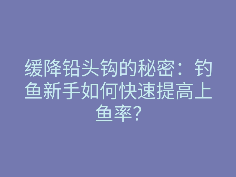 缓降铅头钩的秘密:钓鱼新手如何快速提高上鱼率?
