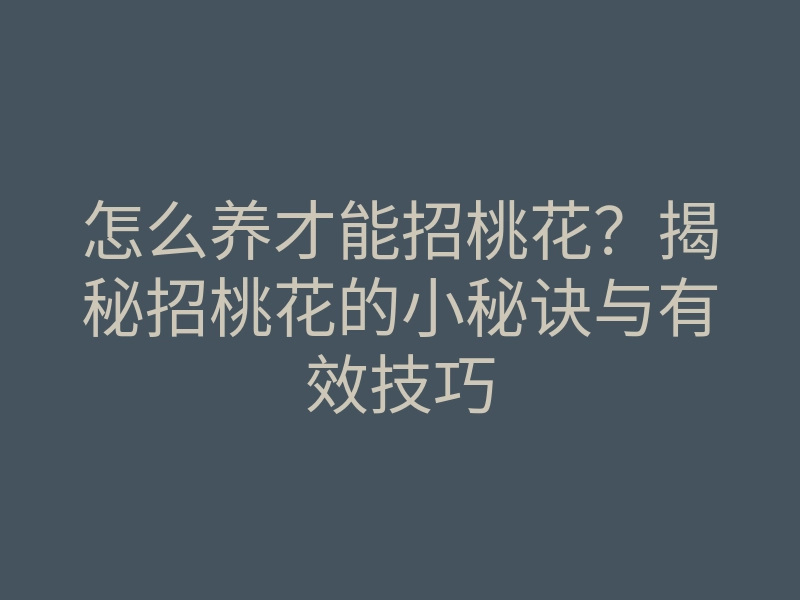 怎么养才能招桃花?揭秘招桃花的小秘诀与有效技巧