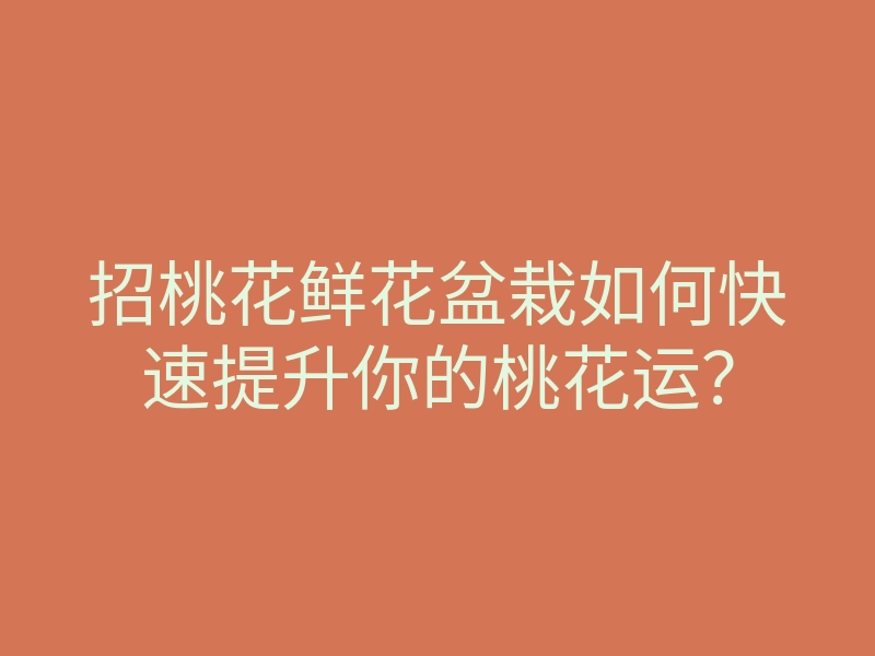 招桃花鲜花盆栽如何快速提升你的桃花运?