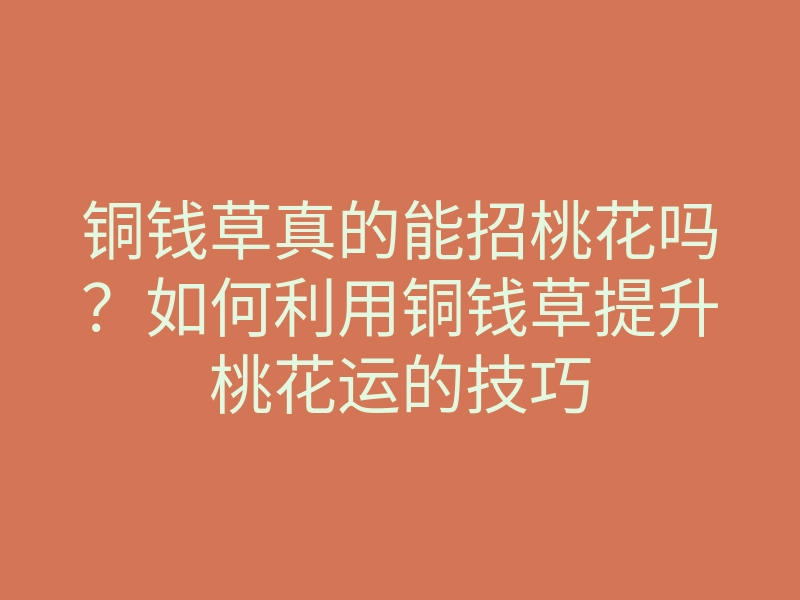 铜钱草真的能招桃花吗?如何利用铜钱草提升桃花运的技巧
