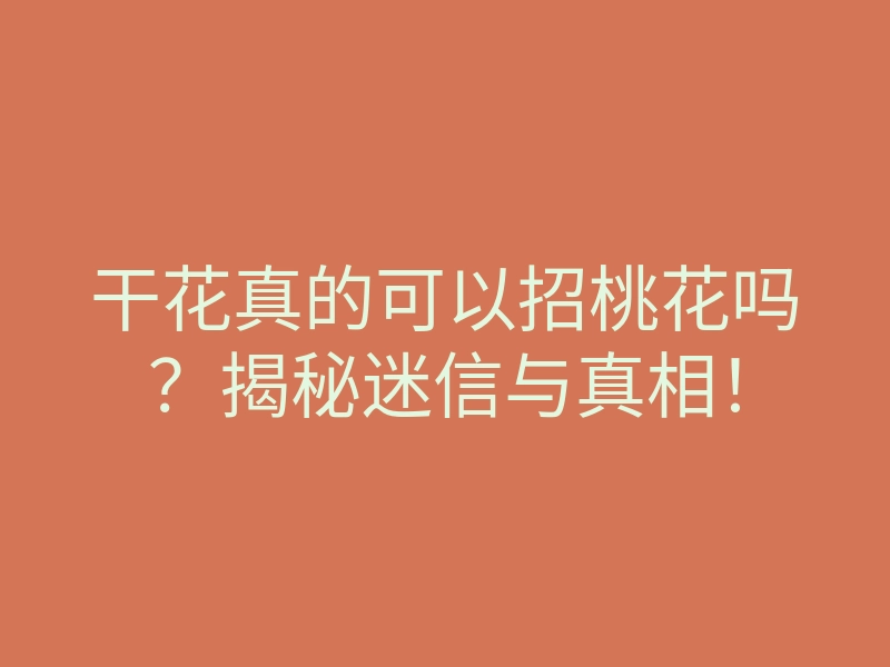 干花真的可以招桃花吗?揭秘迷信与真相!
