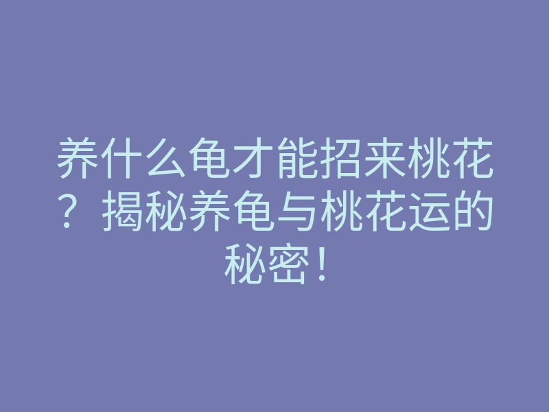 养什么龟才能招来桃花?揭秘养龟与桃花运的秘密!