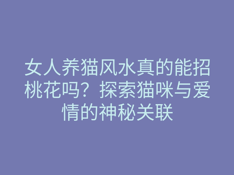 女人养猫风水真的能招桃花吗？探索猫咪与爱情的神秘关联