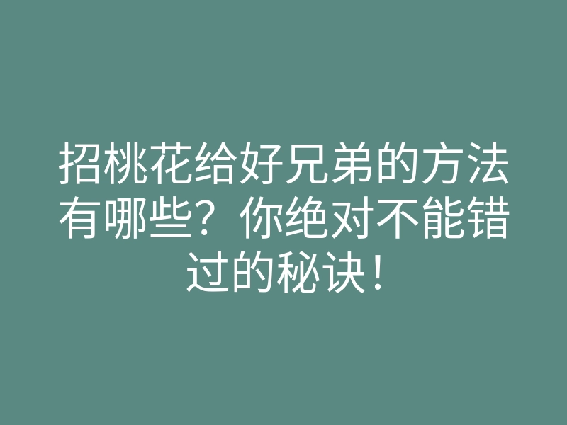 招桃花给好兄弟的方法有哪些?你绝对不能错过的秘诀!