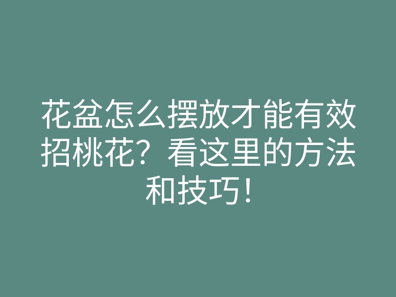 花盆怎么摆放才能有效招桃花?看这里的方法和技巧!