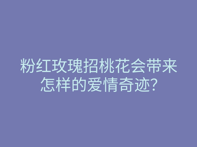 粉红玫瑰招桃花会带来怎样的爱情奇迹?