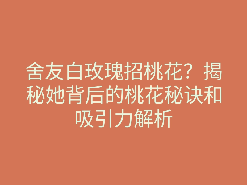 舍友白玫瑰招桃花？揭秘她背后的桃花秘诀和吸引力解析
