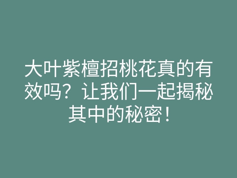 大叶紫檀招桃花真的有效吗?让我们一起揭秘其中的秘密!