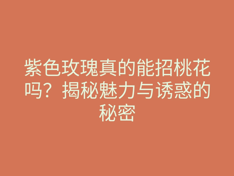 紫色玫瑰真的能招桃花吗？揭秘魅力与诱惑的秘密