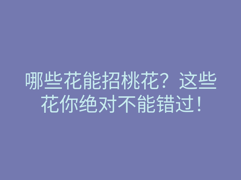 哪些花能招桃花?这些花你绝对不能错过!