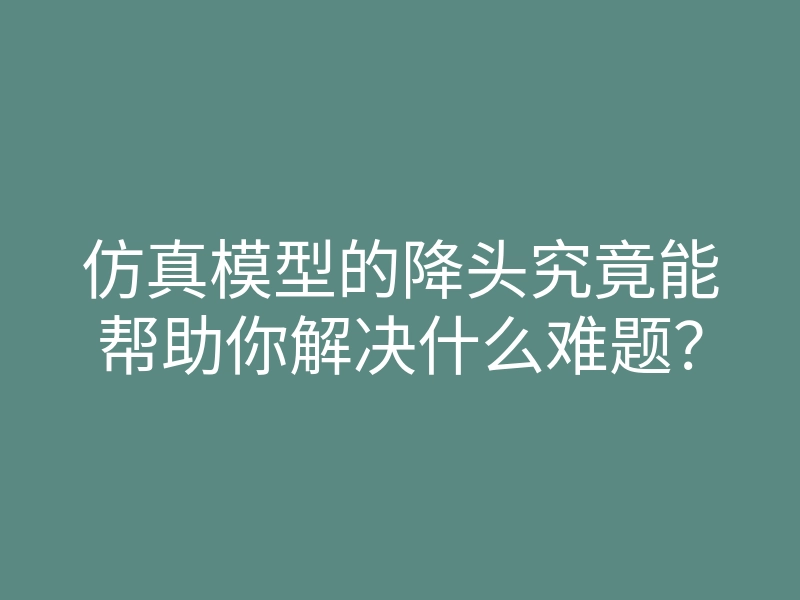 仿真模型的降头究竟能帮助你解决什么难题?