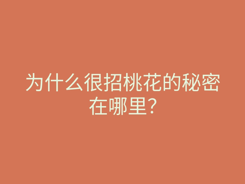 为什么很招桃花的秘密在哪里?