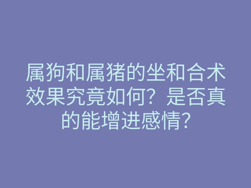 属狗和属猪的坐和合术效果究竟如何?是否真的能增进感情?