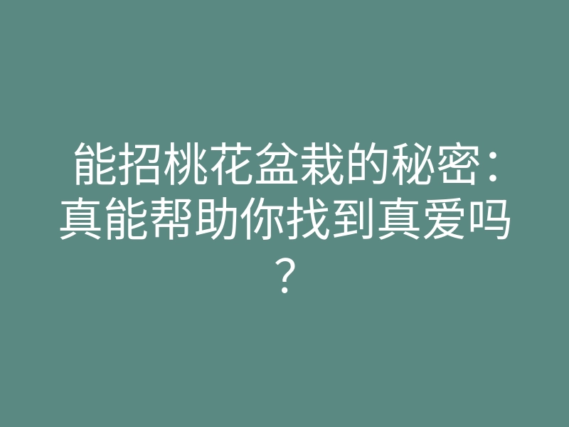 能招桃花盆栽的秘密:真能帮助你找到真爱吗?