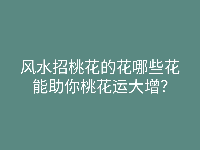 风水招桃花的花哪些花能助你桃花运大增?