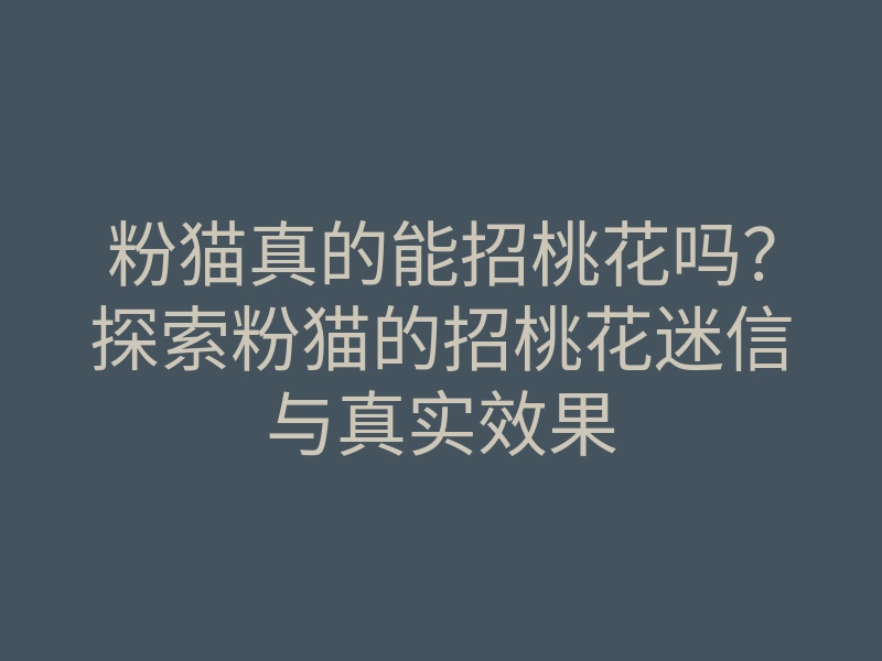 粉猫真的能招桃花吗？探索粉猫的招桃花迷信与真实效果