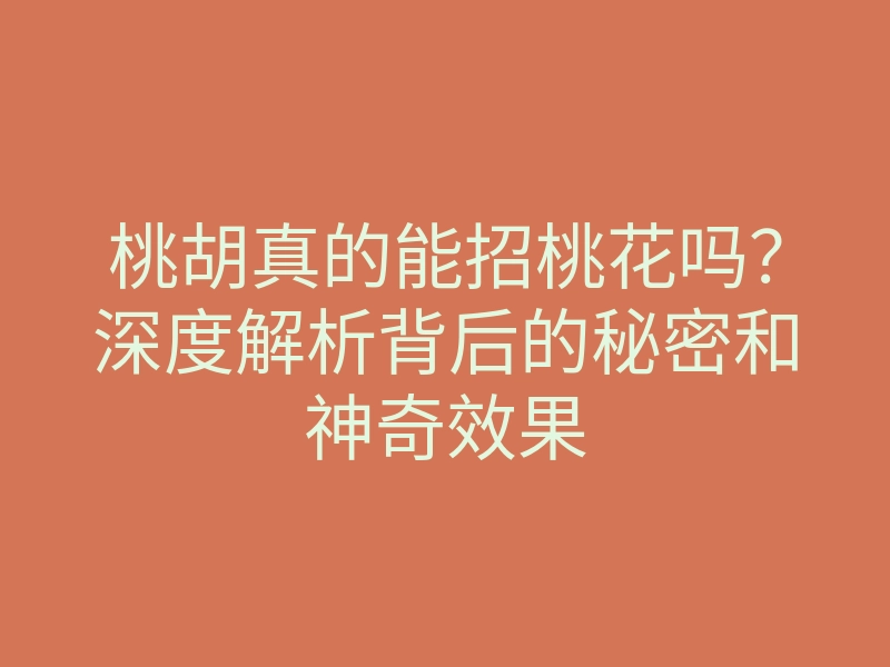桃胡真的能招桃花吗?深度解析背后的秘密和神奇效果