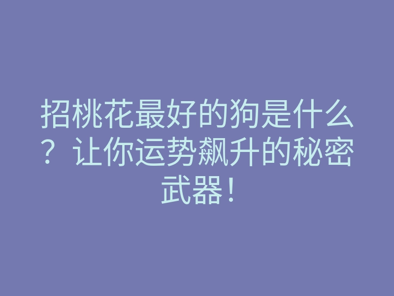 招桃花最好的狗是什么?让你运势飙升的秘密武器!