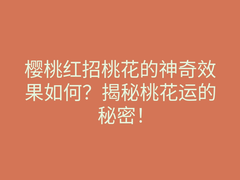 樱桃红招桃花的神奇效果如何?揭秘桃花运的秘密!