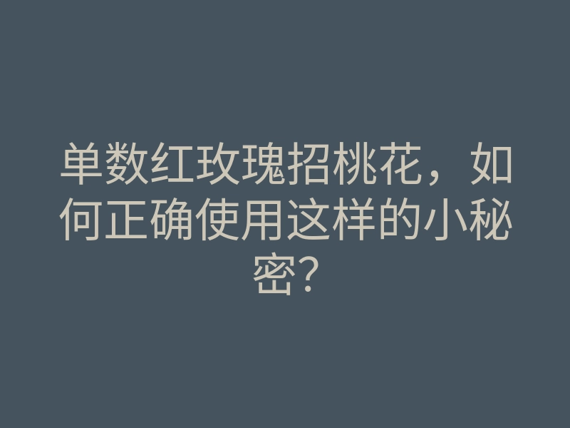单数红玫瑰招桃花,如何正确使用这样的小秘密?