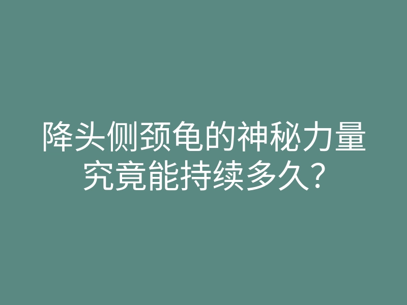 降头侧颈龟的神秘力量究竟能持续多久？