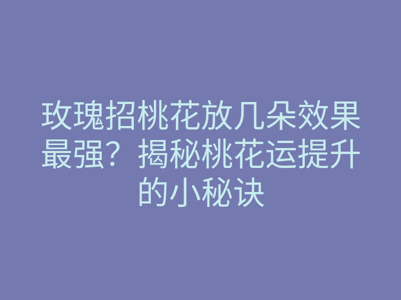 玫瑰招桃花放几朵效果最强?揭秘桃花运提升的小秘诀