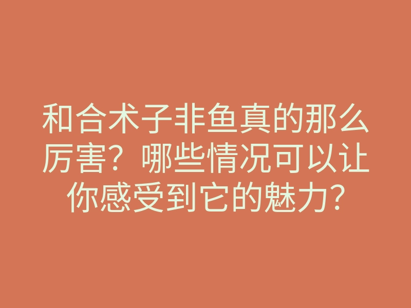 和合术子非鱼真的那么厉害？哪些情况可以让你感受到它的魅力？