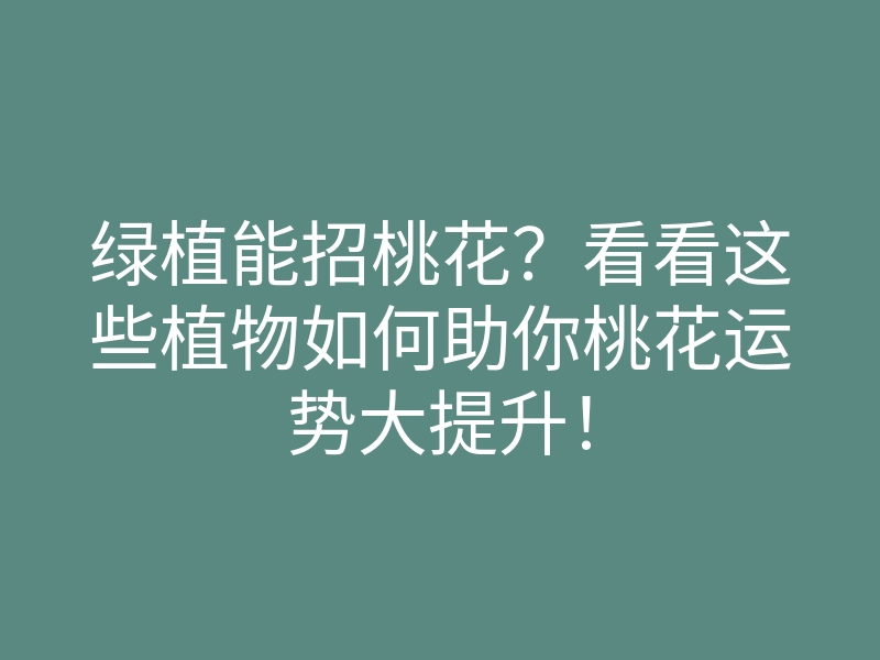 绿植能招桃花?看看这些植物如何助你桃花运势大提升!