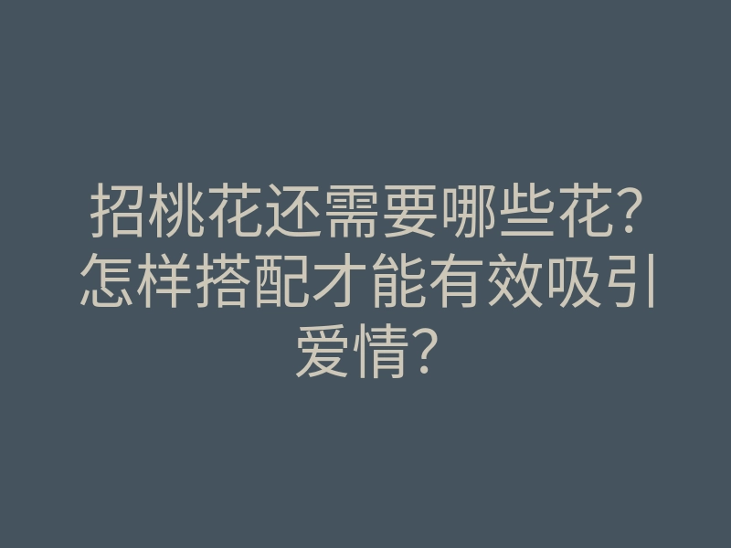 招桃花还需要哪些花?怎样搭配才能有效吸引爱情?