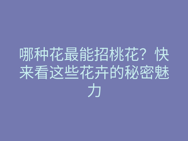哪种花最能招桃花?快来看这些花卉的秘密魅力