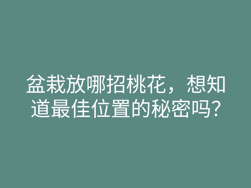 盆栽放哪招桃花，想知道最佳位置的秘密吗？