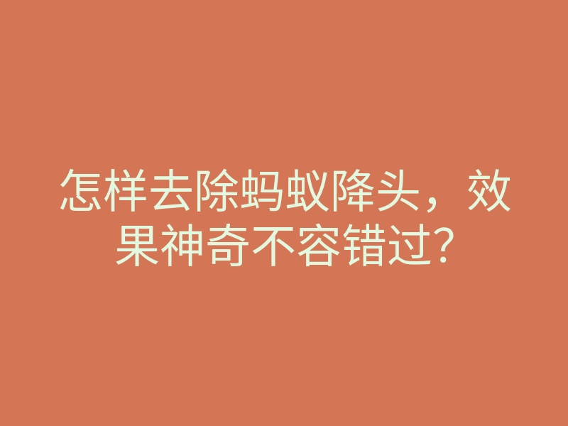 怎样去除蚂蚁降头,效果神奇不容错过?