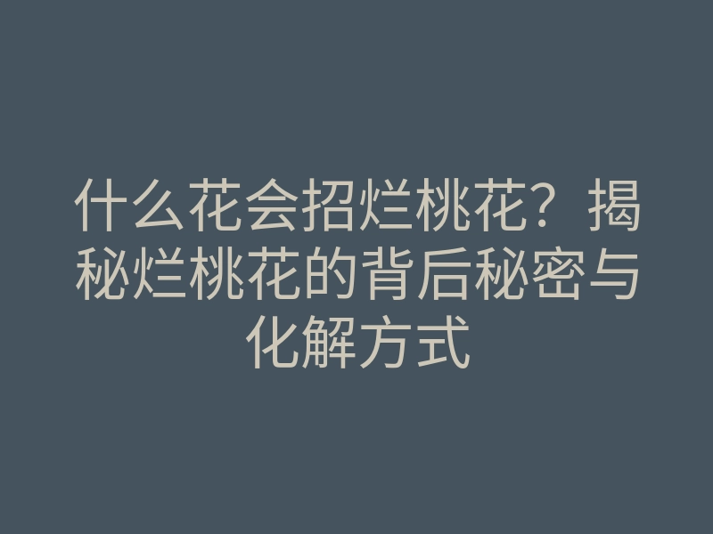 什么花会招烂桃花?揭秘烂桃花的背后秘密与化解方式