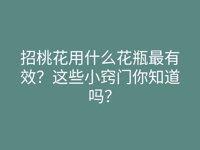 招桃花用什么花瓶最有效?这些小窍门你知道吗?