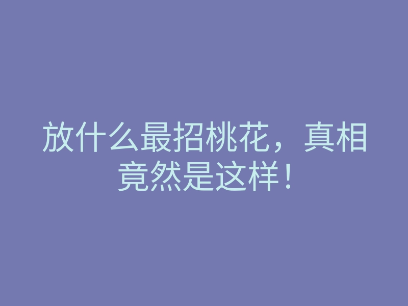 放什么最招桃花,真相竟然是这样!