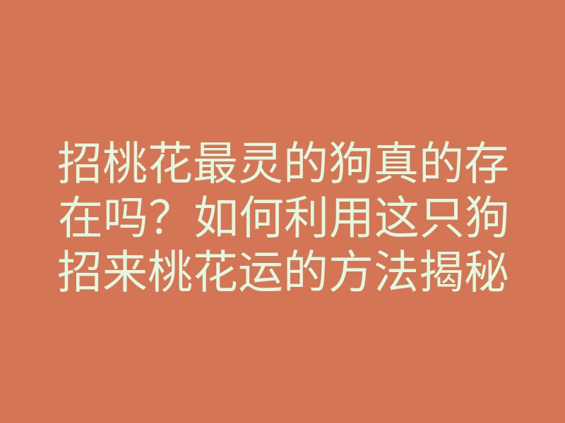 招桃花最灵的狗真的存在吗?如何利用这只狗招来桃花运的方法揭秘