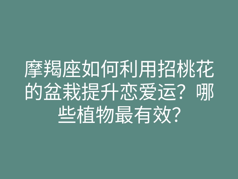 摩羯座如何利用招桃花的盆栽提升恋爱运？哪些植物最有效？