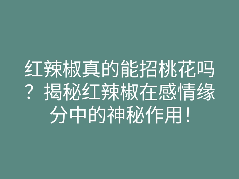 红辣椒真的能招桃花吗?揭秘红辣椒在感情缘分中的神秘作用!