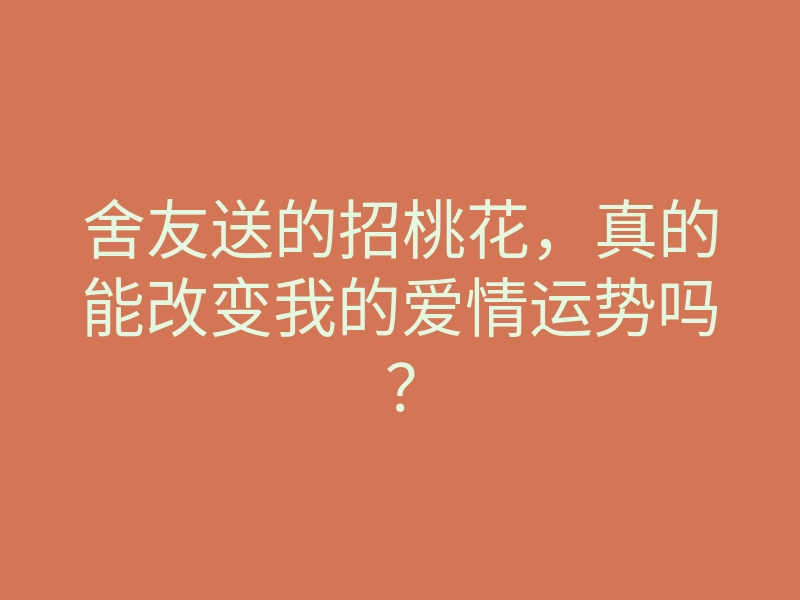 舍友送的招桃花,真的能改变我的爱情运势吗?