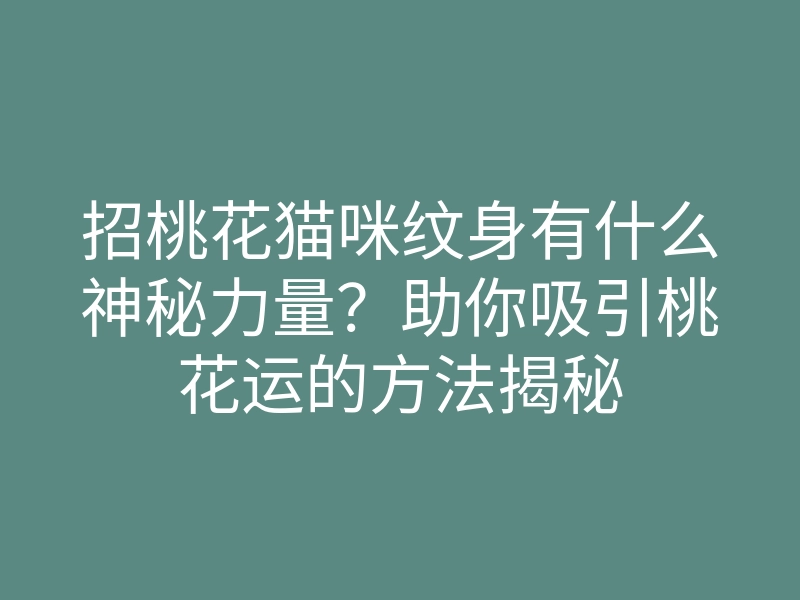 招桃花猫咪纹身有什么神秘力量?助你吸引桃花运的方法揭秘