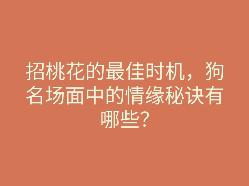 招桃花的最佳时机,狗名场面中的情缘秘诀有哪些?