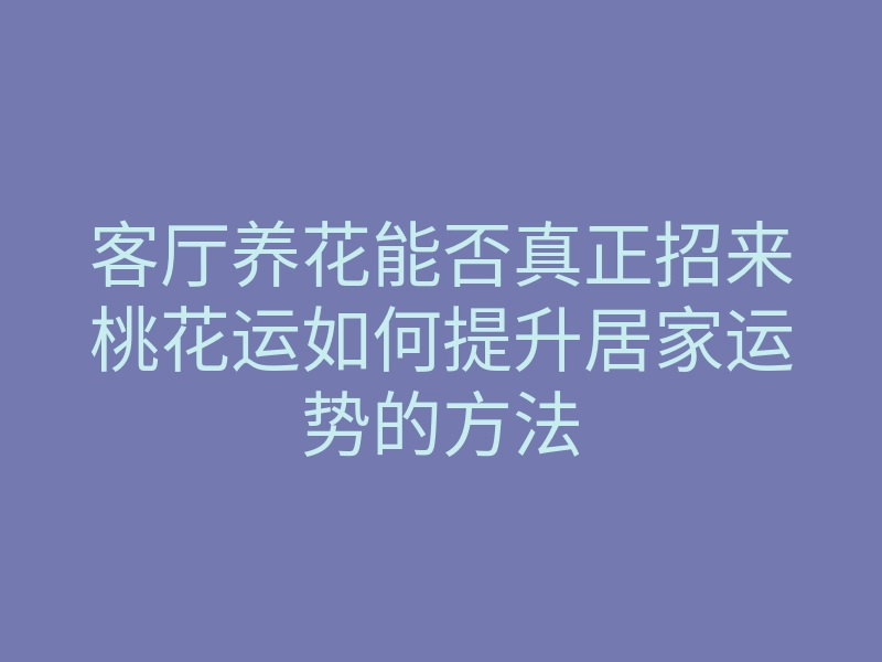 客厅养花能否真正招来桃花运如何提升居家运势的方法
