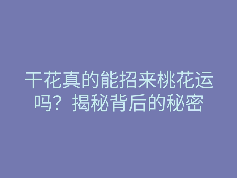 干花真的能招来桃花运吗?揭秘背后的秘密