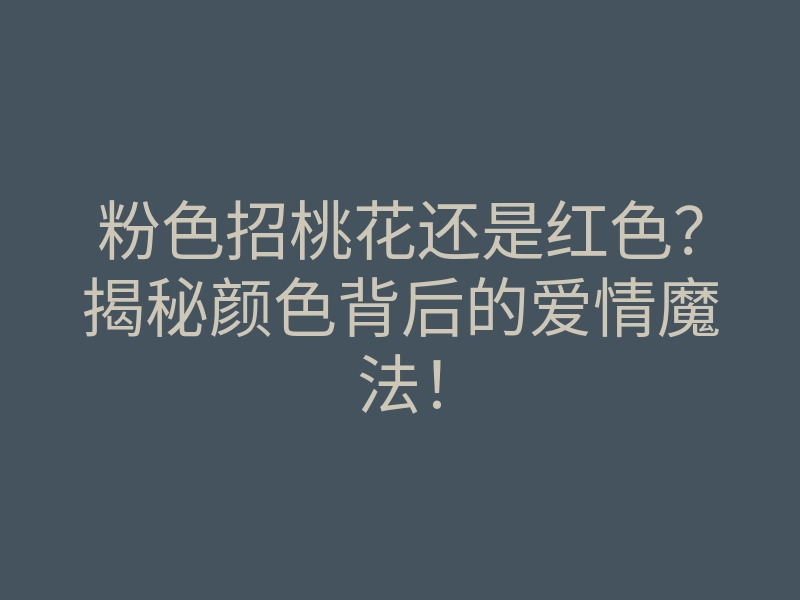 粉色招桃花还是红色?揭秘颜色背后的爱情魔法!