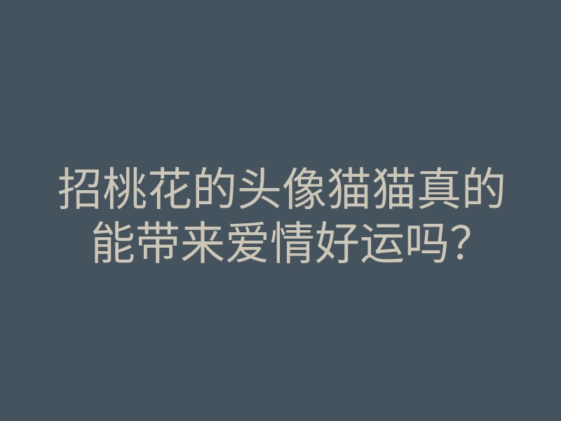 招桃花的头像猫猫真的能带来爱情好运吗?