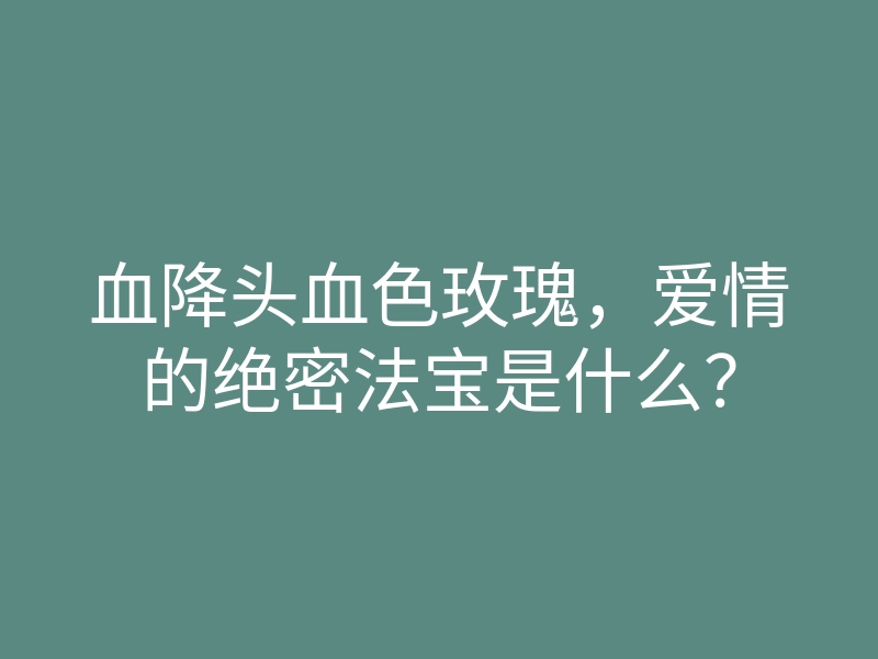 血降头血色玫瑰,爱情的绝密法宝是什么?