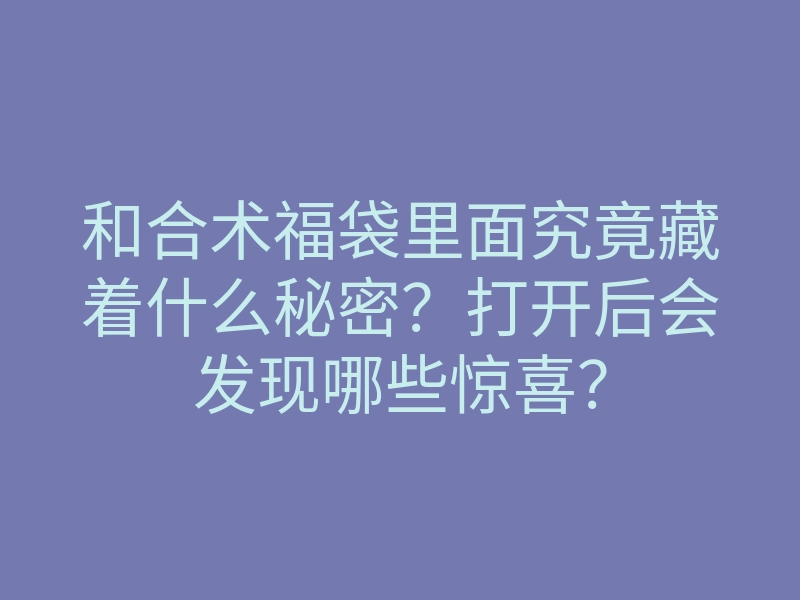 和合术福袋里面究竟藏着什么秘密?打开后会发现哪些惊喜?