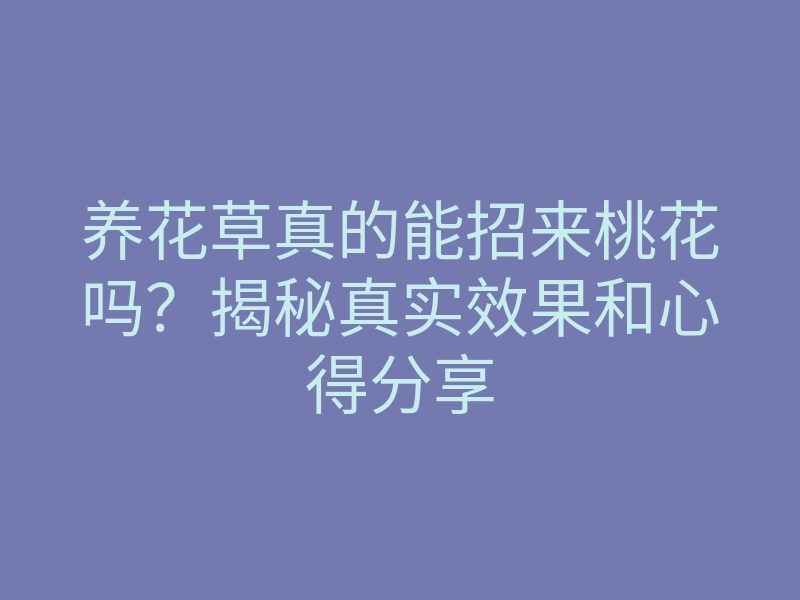 养花草真的能招来桃花吗?揭秘真实效果和心得分享